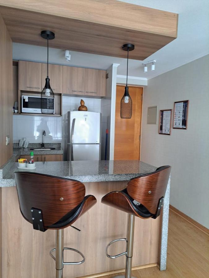 Nm Cochrane Apartamento Concepción